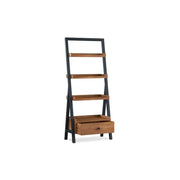 Ladder-Style Record Display Shelf