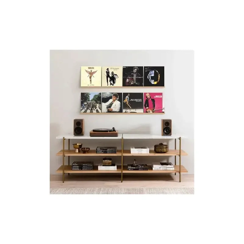 Vinyl Record Wall Display Rail