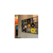 Vinyl Record Wall Display Rail