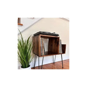 Record Stand with Storage